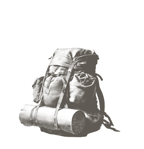 Gear