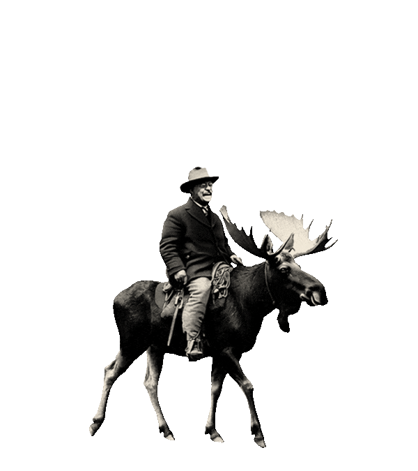 strenuous life