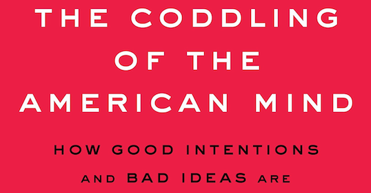 Podcast discussing the failure of good intentions in shaping the mindset of the American generation.